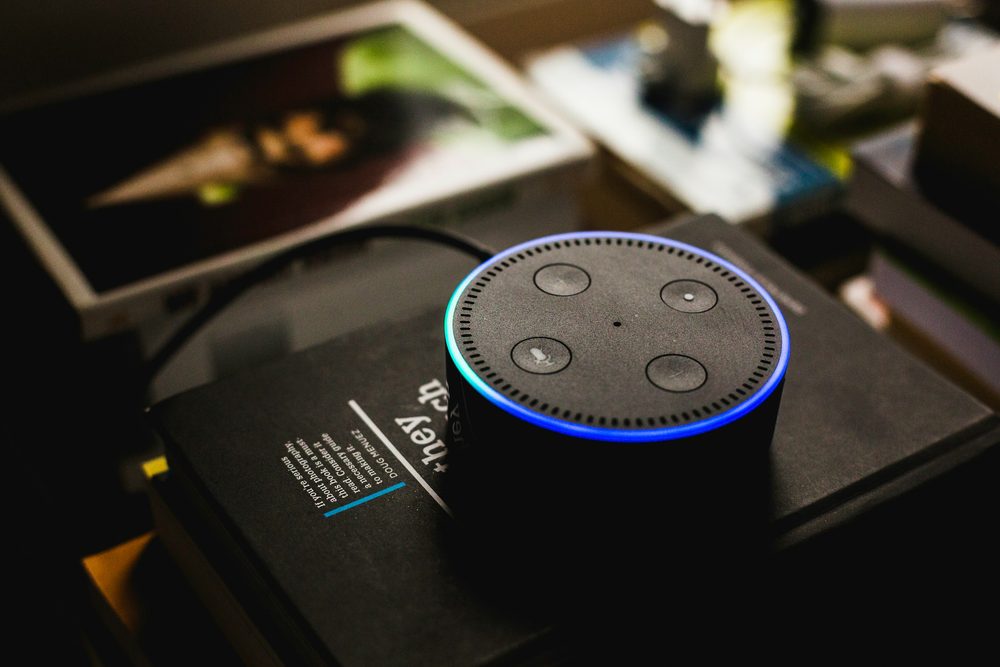 An Amazon Echo smart speaker, one of the home network devices the AI agent catalogued.